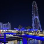The Consulting Diaries: Navigating the Highs and Lows of Dubai