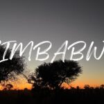 When roots and roads lead to family in Zimbabwe